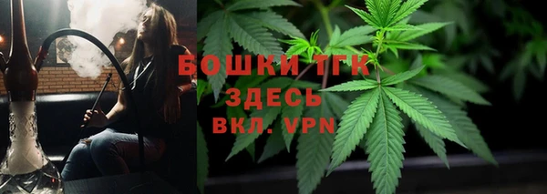 амф Верея